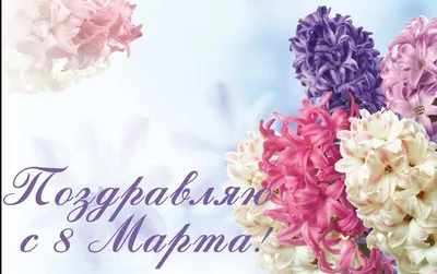 Пионовидные розы с эвкалиптом на 8 марта купить с доставкой по Томску:  цена, фото, отзывы.