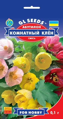 Абутилон Комнатный Клен (0,05 г), 2 пакета Цветущий сад 185021388 купить в  интернет-магазине Wildberries