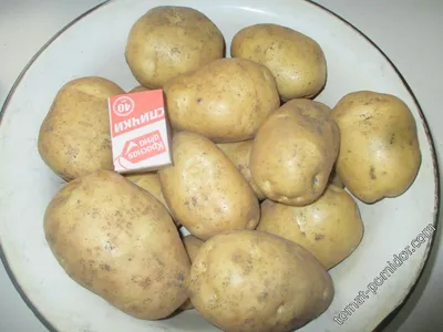 Картофель, сорт адретта — купить в Красноярске. Картофель на  интернет-аукционе Au.ru