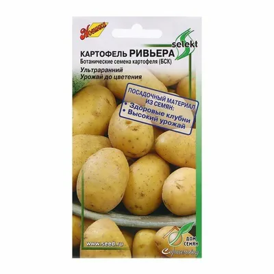 В Хабаровске займутся выращиванием элитного картофеля