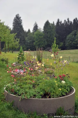Сад Роберта Хёка в Австрии | Ландшафтный дизайн садов и парков