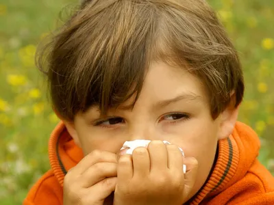 Аллергия на все подряд. — 44 ответов | форум Babyblog