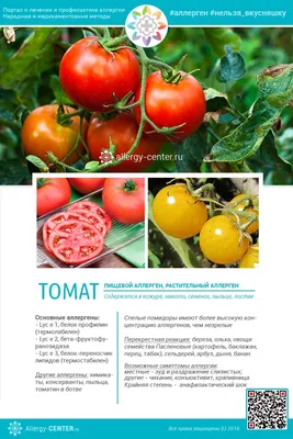 аллергия на помидоры — 25 рекомендаций на Babyblog.ru