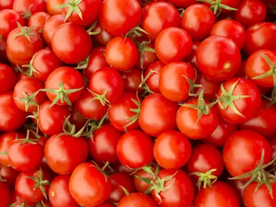 Аллергия на красные овощи и фрукты — миф или нет - tochka.net