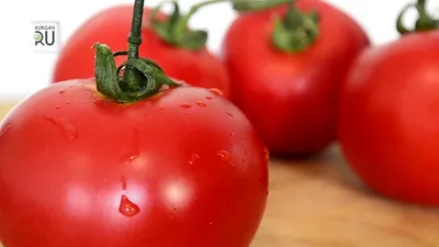 7 заболеваний, при которых нельзя есть помидоры