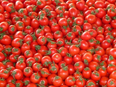 Чем полезны помидоры - вред и польза помидоров | Эксперты объясняют от  Роскачества