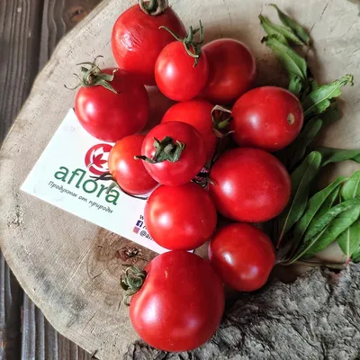 Польза соленых и свежих помидоров: как они влияют на здоровье | Фруктовый  рай