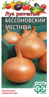 Лук Суворова (Анзур): полезные свойства, выращивание, рецепт приготовления  | https://agro-sales.ru | Дзен