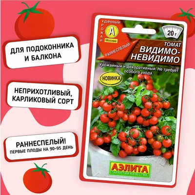 Томат Григорашик F1 от \"Сибирский сад\" - «Сорт Григорашик F1 - компактные  томаты для выращивания на балконе (фотографии растущих томатов и урожая)» |  отзывы
