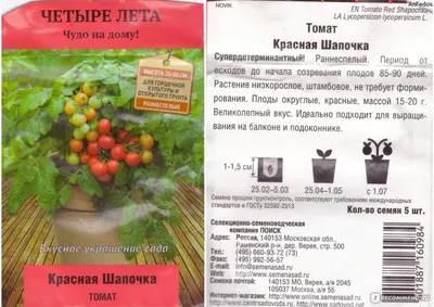 Балконные томаты: особенности выращивания