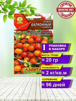 Семена томата Четыре лета \"Красная шапочка\" - «Крайне удачный сорт томатов  для балкона – симпатичные, невысокие, компактные и довольно плодовитые» |  отзывы
