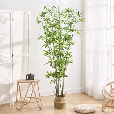 Бамбуковые палочки. Декоративный бамбук. Бамбук для декора.  (ID#1675192018), цена: 120 ₴, купить на Prom.ua