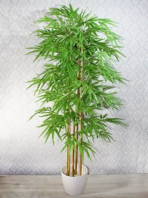Купить Искусственное растение Бамбук 190см в техническом кашпо, ФитоПарк по  выгодной цене в интернет-магазине OZON.ru (1128783712)