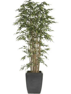 🌳 Искусственный Бамбук, 165см купить » Искусственные растения с доставкой  по всей России
