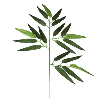 Картина на холсте \"Бамбук, садовый бамбук, aureocaulis\" 240x90 см. с  алюминиевыми подвесами, в тубусе - купить по низкой цене в  интернет-магазине OZON (561518835)
