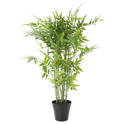 FEJKA ФЕЙКА Искусственное растение в горшке, бамбук для дома и улицы, 9 см  - купить из IKEA MISTERDOM