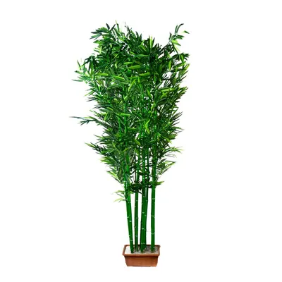 Искусственное растение декоративный бамбук натуральный, пальма из дерева и  ПВХ в напольном горшке — купить в интернет-магазине по низкой цене на  Яндекс Маркете