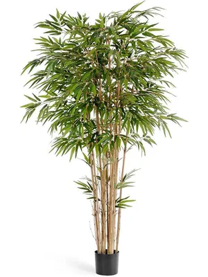 Искусственный бамбук для пола, 20 шт., искусственный бамбук, мелкая вода,  бамбук, украшение для дома, искусственное зеленое растение, бонсай,  ландшафтный Декор для гостиной | AliExpress