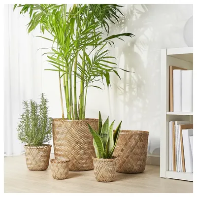 Купить Искусственное растение Бамбук в горшке/Искусственные цветы для  декора/Декор для дома по выгодной цене в интернет-магазине OZON.ru  (202586344)