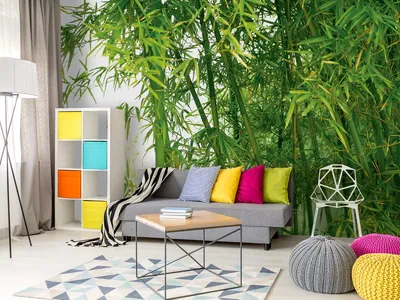 Эстетика бамбук в интерьере …» — создано в Шедевруме