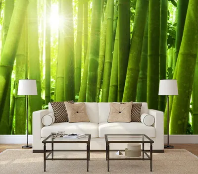 Фотообои Зелёный бамбук на стену. Купить фотообои Зелёный бамбук в  интернет-магазине WallArt
