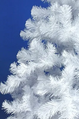 Искусственная белая елка Скандинавская 240 см, ПВХ, купить в Москве  недорого в интернет-магазине «Ёлка-Маркет»
