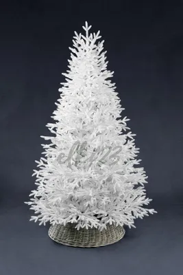 Белая елка ERBIS — купить по доступной цене в Алматы, Нур-Султане,  Казахстане | интернет-магазин Marwin
