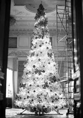 Белая елка украшенная фото фотографии