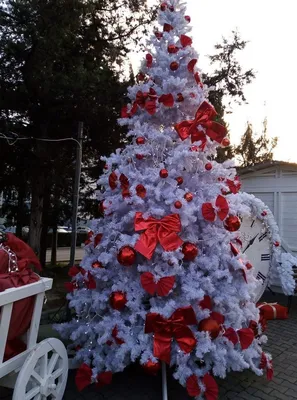 Белая рождественская елка украшенная с золотым орнаментом Стоковое  Изображение - изображение насчитывающей рука, держатель: 79708513
