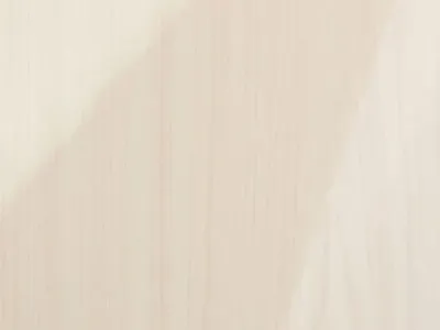 серебристый клен крупный план ветка белого клена Фото Фон И картинка для  бесплатной загрузки - Pngtree
