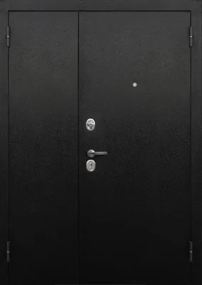 Межкомнатная дверь Софья, коллекция Vision | Межкомнатная дверь 17.43 белый  клен цвет Белый клен, купить в Москве