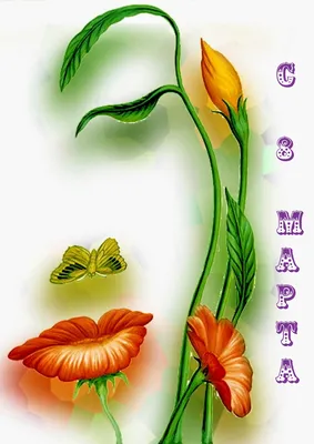 Сафари-парк - С праздником 8 марта! Вход для всех женщин - бесплатно!