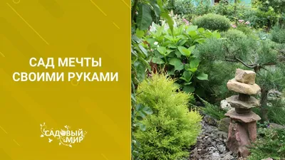 Благоустройство садового участка.Строим из камня и дерева - купить в  Украине — интернет-магазин СолнцеСад