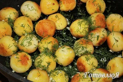 Быстрые и простые блюда из картошки на сковороде - Росбалт