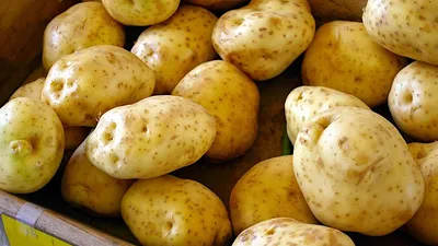 Что происходит с вашим телом при поедании картошки — Ferra.ru