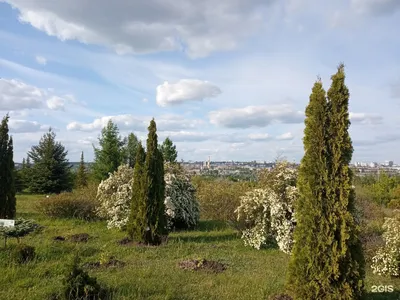 Белгородские журналисты побывали в сирингарии ботанического сада НИУ  «БелГУ» во время цветения сирени