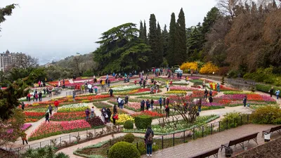 Белгородский ботанический сад провел экскурсию для особенных туристов -  Российская газета