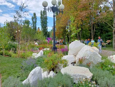 На фестивале «Белгород в цвету» появился сад с поющими соловьями - Новости  Белгорода