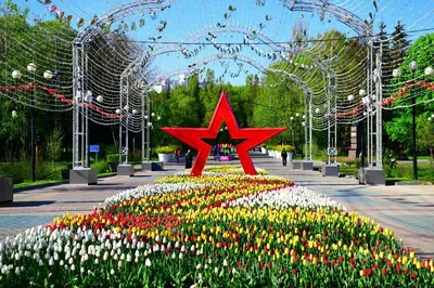 ЖК Ботанический сад Воронеж, цены на квартиры в жилом комплексе Ботанический  сад