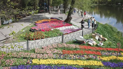 Ботанический сад в Белгороде — официальный сайт, купить саженцы, концерты,  экскурсии, цена билета, адрес, фото, как добраться