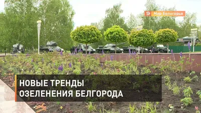 Ботанический сад, Кашарский проезд, 18, Белгород — 2ГИС
