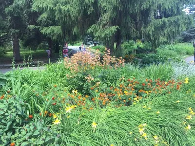 Ботанический сад, Екатеринбург: лучшие советы перед посещением - Tripadvisor