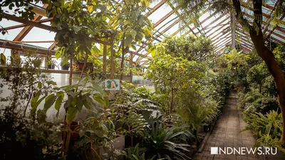 Ботанический сад в Кембридже- городской парк и центр исследований