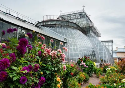 🏛️ Ботанический сад в Дублине – одно из самых зрелищных мест города |  Smapse