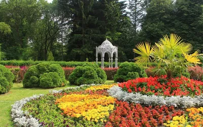 Ботанический сад в Гродно: Зеленое чудо Беларуси — Гродно