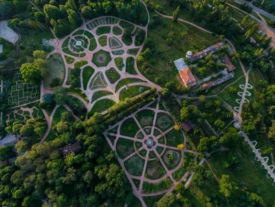 Свидание в оранжерее ботанического сада Петра Великого | Корпорация Ярких  Впечатлений