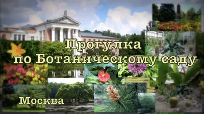 Ботанический сад, Вологда: лучшие советы перед посещением - Tripadvisor