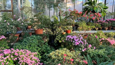 Ботанический сад Пхукета: билеты | Пхукет