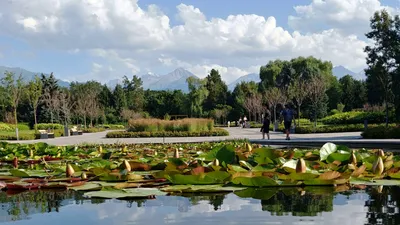 Ботанический сад Алматы - Любимый город Алматы