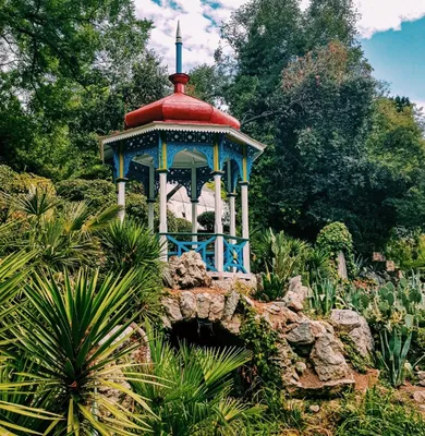 Никитский ботанический сад — подробное описание, адрес и фото